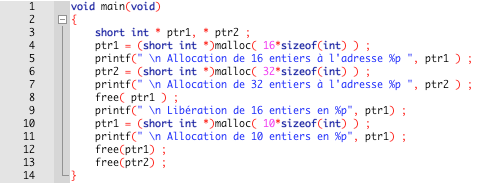 MALLOC LANGAGE C PDF