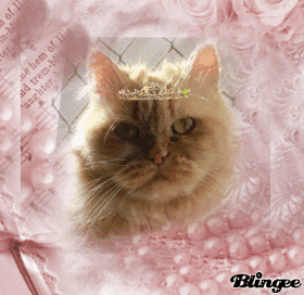 Juju Princesa amarela