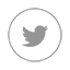 Dice on Twitter