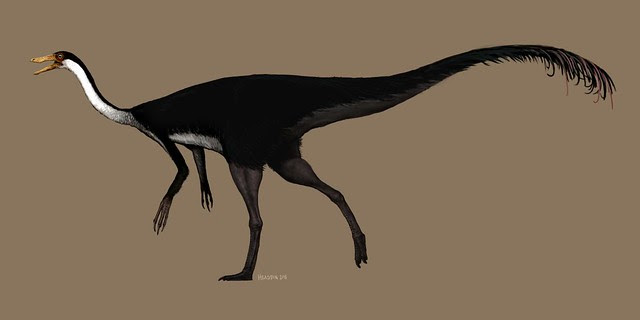 gallimimus revision