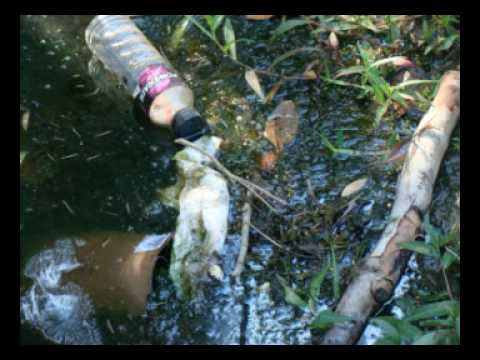 Coffs Harbour Flooding. Coffs Harbour Untidiest Town