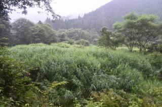 鹿足河内（六日市町）