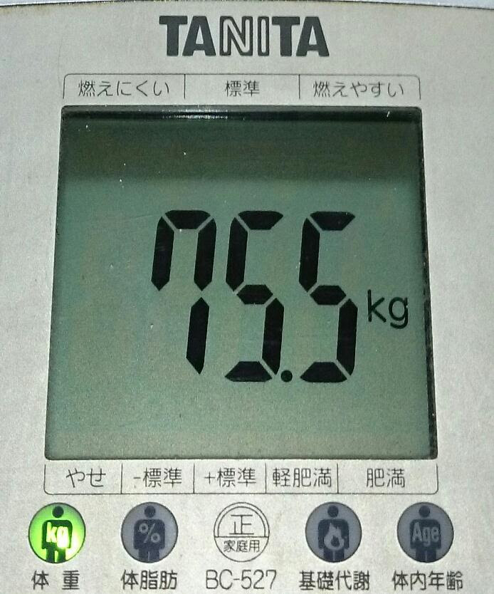 15年10月のブログ記事一覧 並木 豪 オルゴイコルコイ のブログ