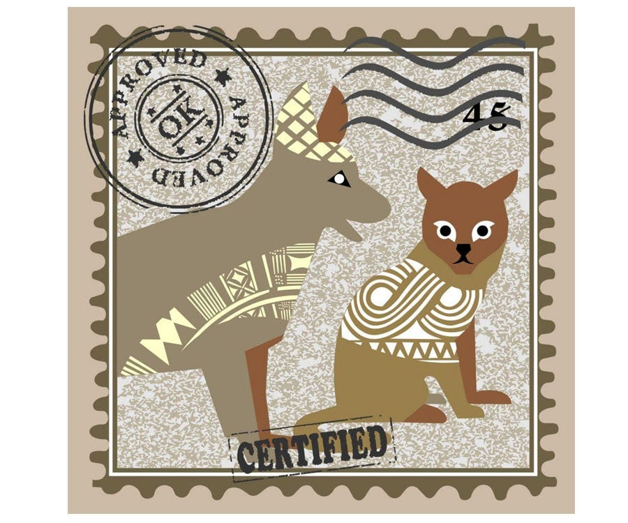 Framed Cat and Dog Art Print Home Decor Wall Decor by iQdezigns