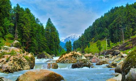 top holiday destinations  india  memorable experiences