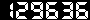 Web Site Hit Counter