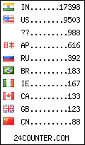 visitors by country counter
