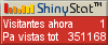 Medidor de visitantes
