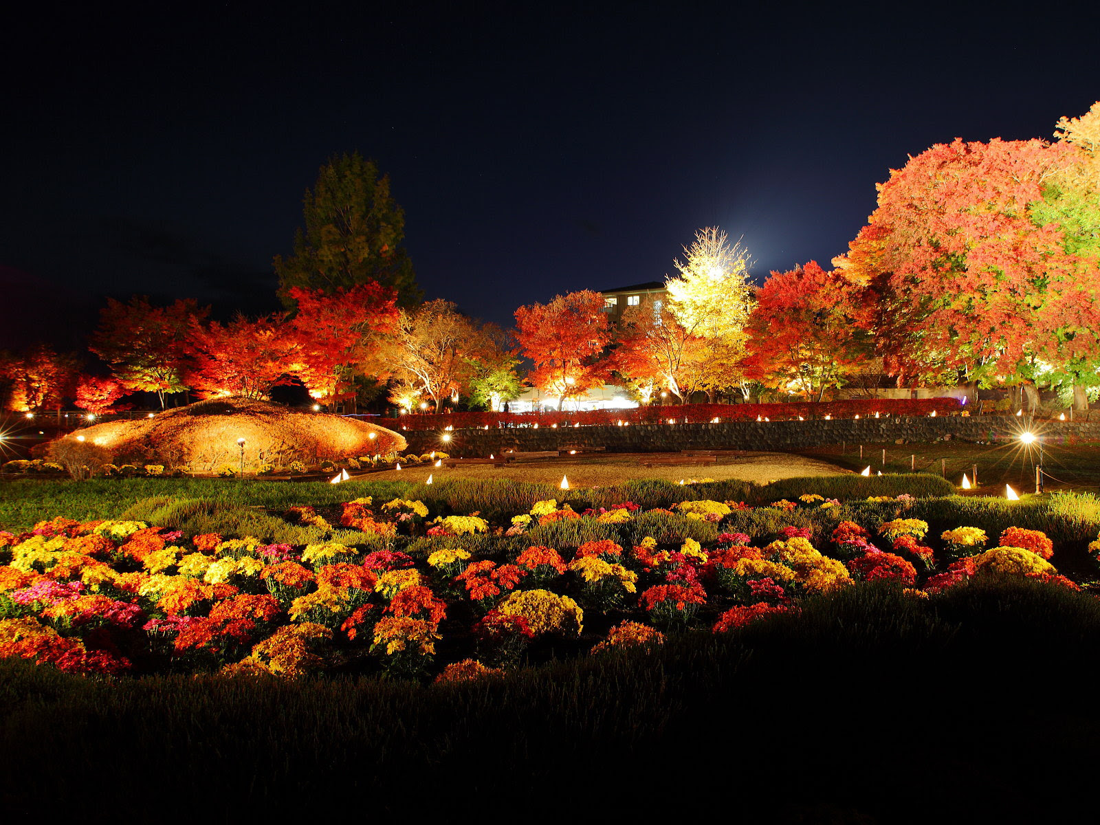 富士河口湖紅葉まつり ライトアップ写真