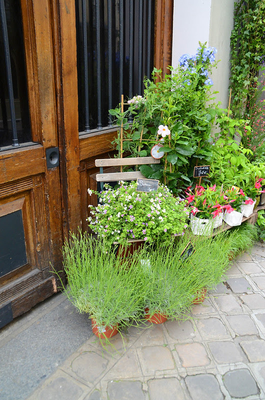 2013 0522 Wed_305DSC_5915
