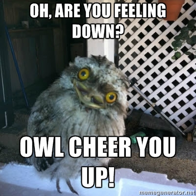 Feels Owl Meme By Snookied Memedroid