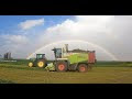 MOWING & Chopping Wheat for Silage/Wheatlage