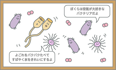 サンヨー フィルスタッフブログ 浄化槽