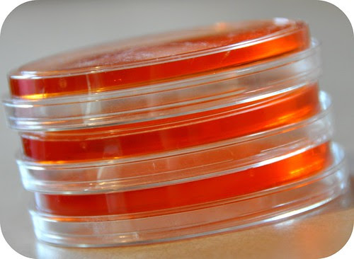 Petri Dishes