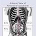 Anatomy Quadrants - Anatomy Quadrants Quadrants Definition Of Quadrants By Medical Dictionary Female Breast Anatomy Blood Supply And Mammary Glands Kenhub - Quadrants divide our bodies into regions for diagnostic and descriptive purposes.