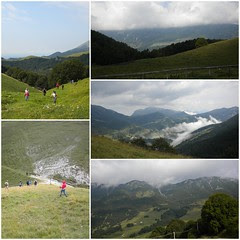 malghe mix3