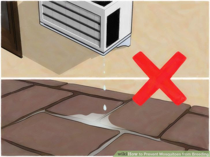 Prevent Mosquitoes from Breeding Step 4 Version 3.jpg