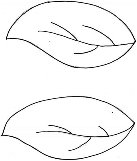  simple leaf template coloring home