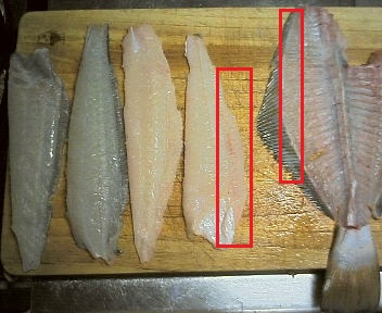 ヒラメを美味しく食べる