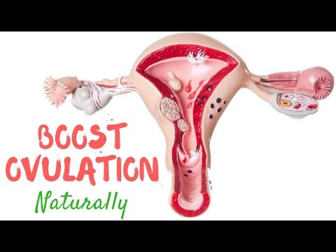 Video How Yoga Helps Fertility