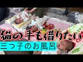 √ダウンロード 双子 ツイ���ズ 三つ子 238538-双子 ツインズ 三つ子