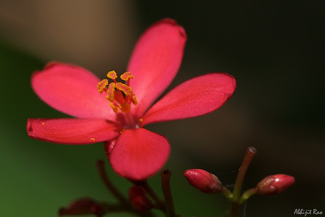 DSC07698