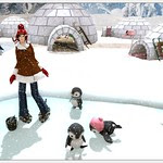 My polar getaway - Penguins