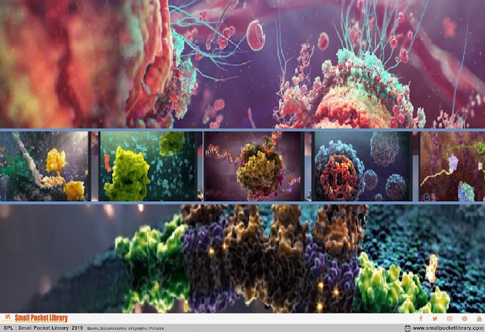 Amazing 30 Pictures of Molecular World