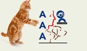 Aaa001