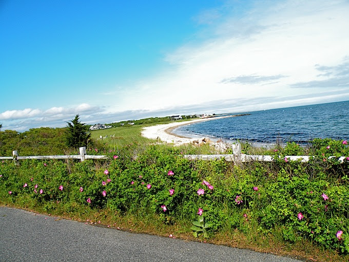 DSCN0458.JPG