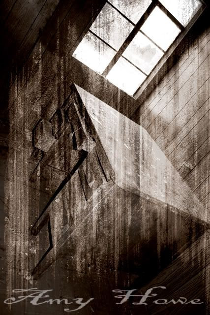 amy howe,abandonment,abandon,photography