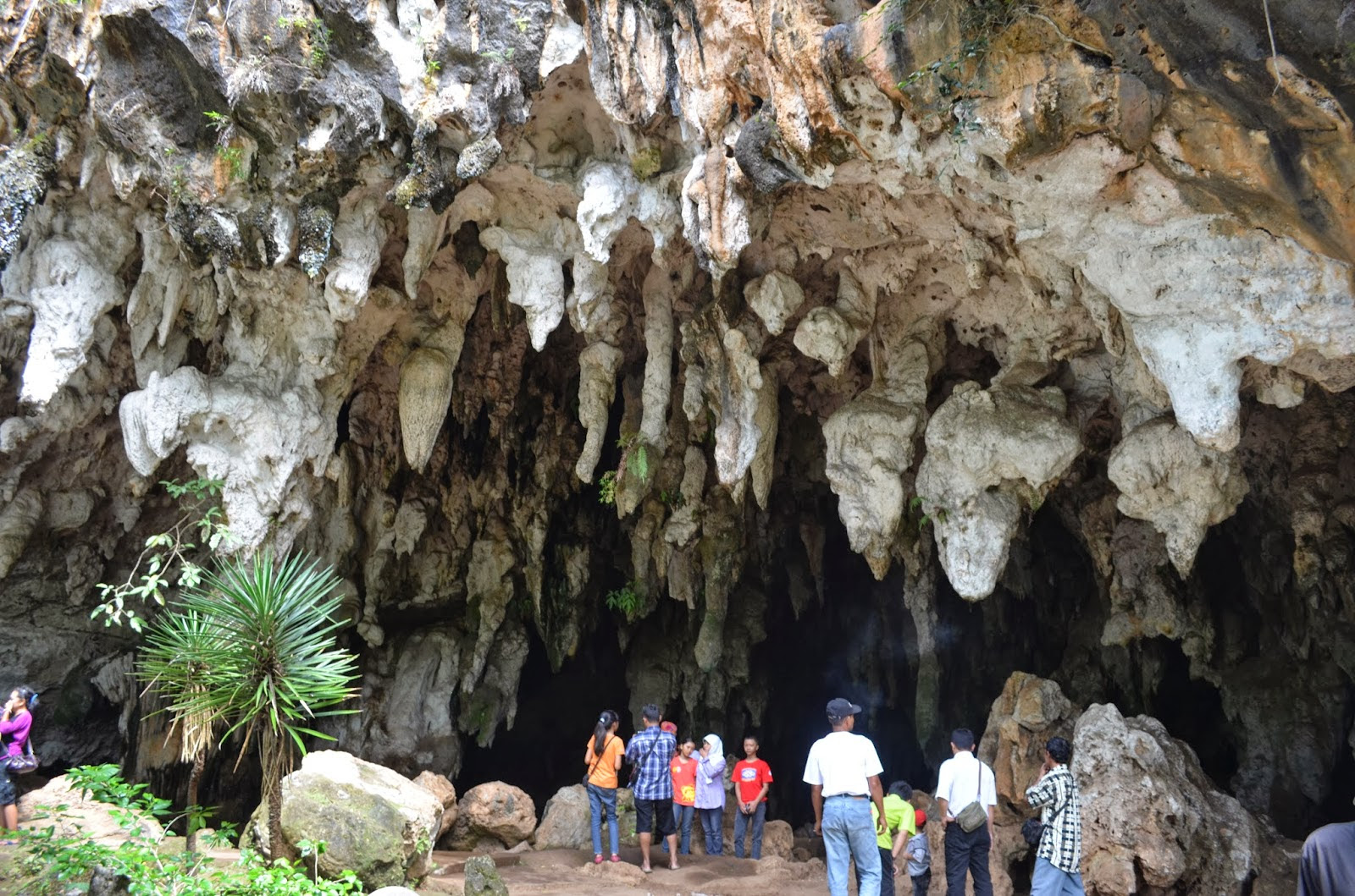 Explore 1001 Wisata Kota Pacitan
