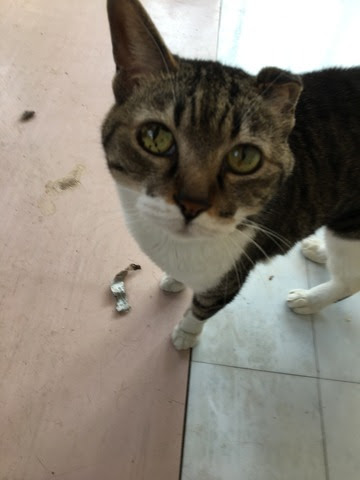 A0543344-3623-4F99-A7ED-6F1C41F901B9