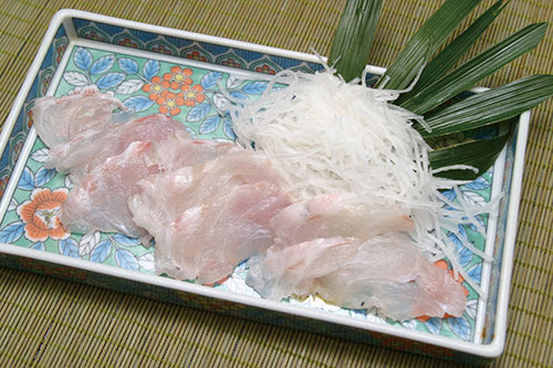 アマダイ 甘鯛 尼鯛 釣魚料理大全 海水編 房総爆釣通信