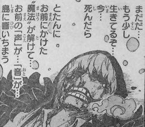 One Piece 第767話 命に換えても 笑顔の別れ コラソン 逝く コラさん トルトルの漫画発表会