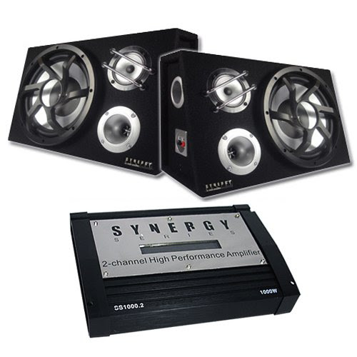 Synergy Series SS123/SS1000.2 2-12