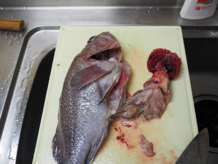 ソイの刺身 さばき方 魚料理と簡単レシピ