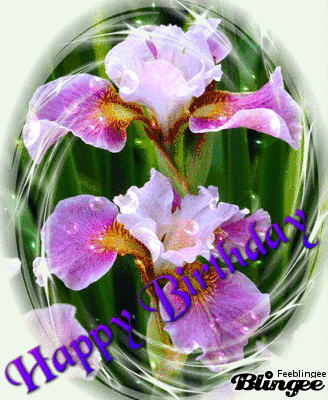 Anniversaire Orchidees