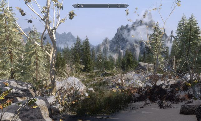 景色を綺麗にしよう 2018年版 Skyrim Seおぼえがき