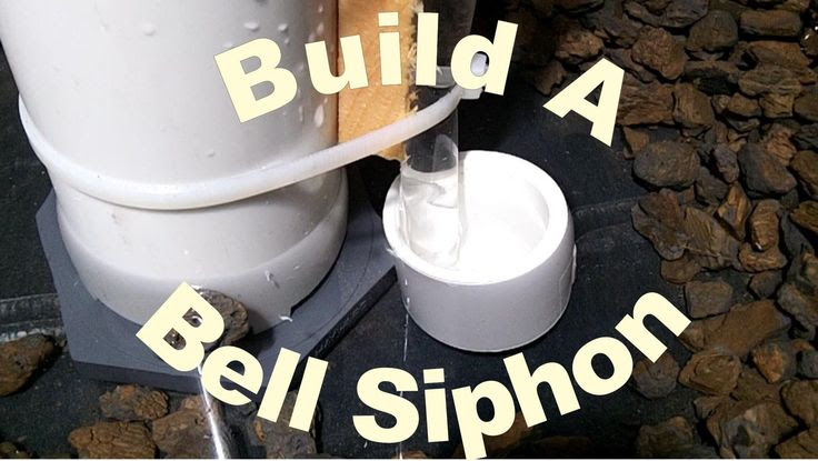 How To Build a Bell Siphon | Aquaponic | Pinterest