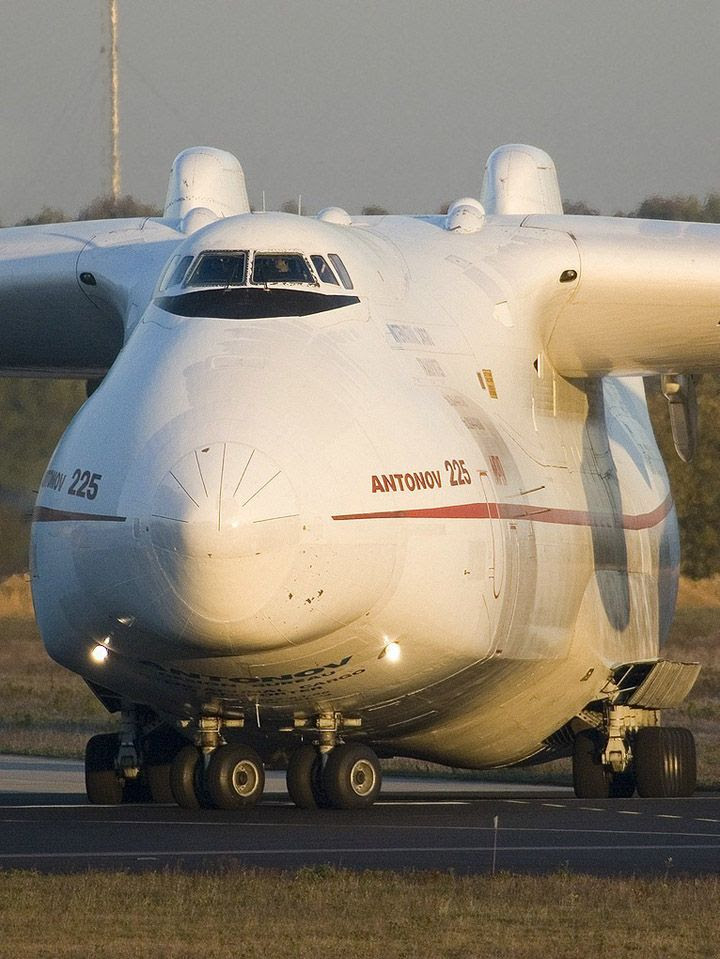 GIANT OF THE SKY