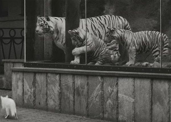 Acid Picdump (175 pics) Acid Picdump (175 pics)