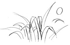 木と草の描き方