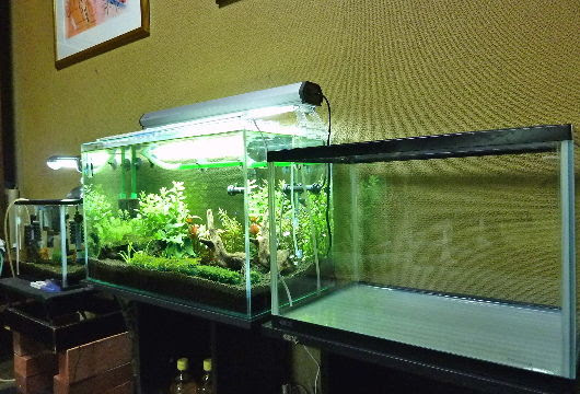 水槽リセットやその他いろいろな週末 私の大事なもの