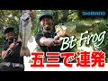 最高のコレクション エクス プライド 172h fr インプレ 269267-エクス プライド 172h fr インプレ