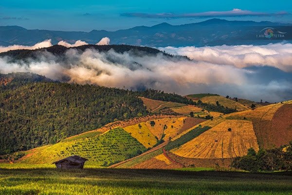 ป่าบงเปียงและดอยอินทนนท์