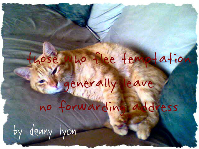 Cat Philosopher: Curty On Temptation