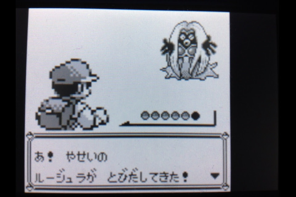 ポケットモンスターを遊びつくす日記 Ex うさぎの隠れ家
