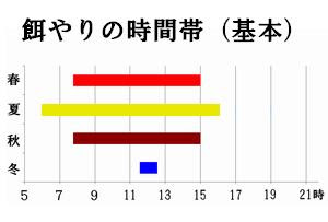 らんちゅう専門 伊東養魚場 餌やりの方法