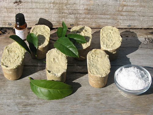 Coconut Lime Salt Spa Bars